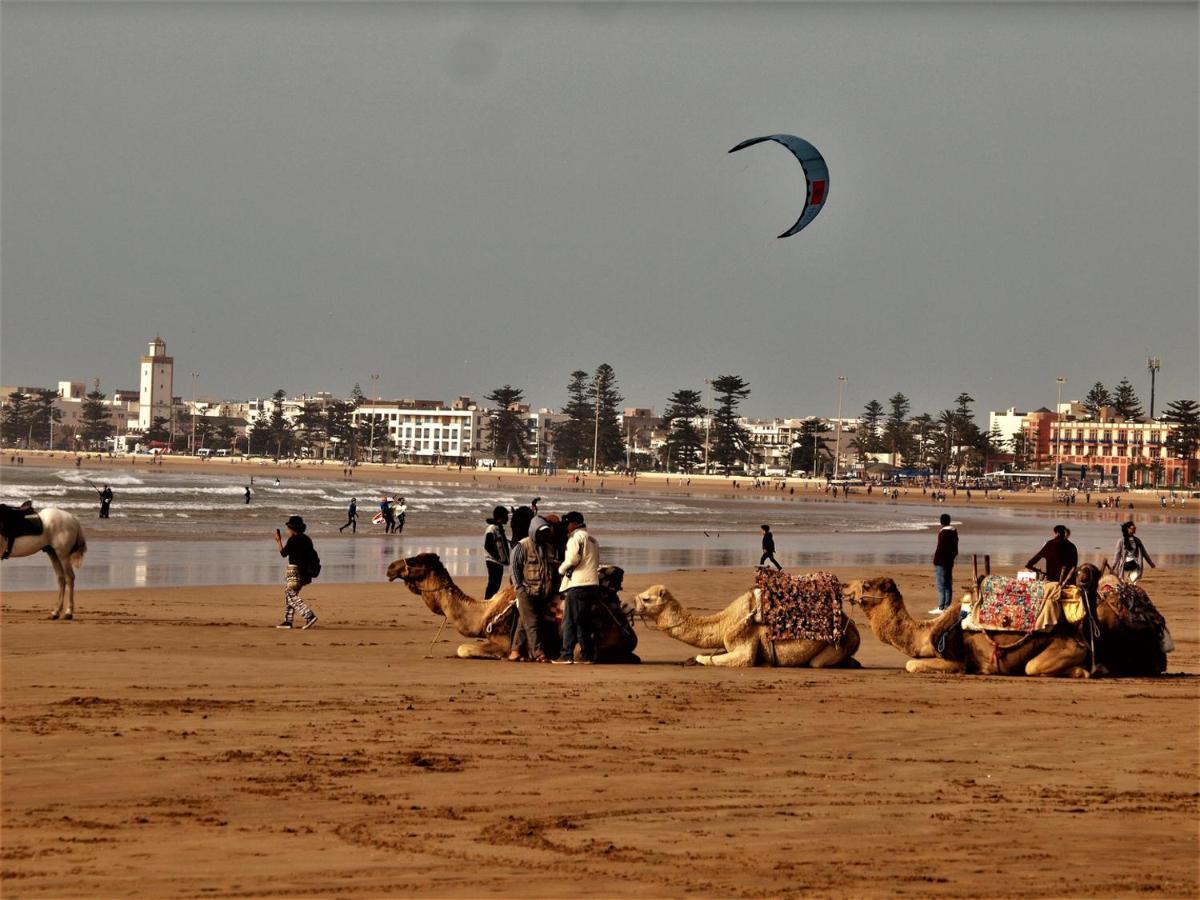 Youss Appartement Essaouira Bagian luar foto
